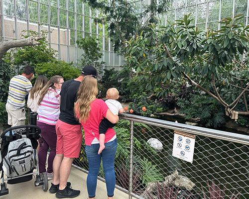 Family standing along a rail watching birds at the National Aviary